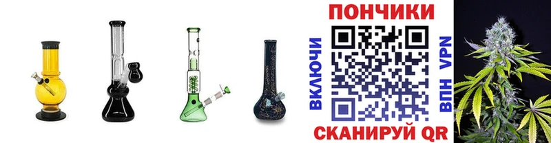 Купить где  Зуевка  Марихуана сатива 